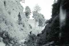1962-0002-0000-0035-LS1