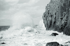 1962-0002-0000-0039-LS1