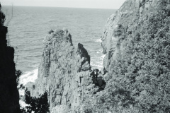 1962-0002-0000-0045-LS1