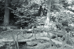 1962-0002-0000-0049-LS1