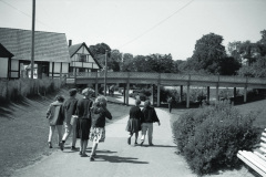 1962-0002-0000-0051-LS1