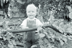1962-0003-0000-0047-PS1