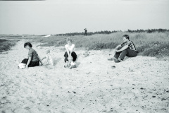 1962-0003-0000-0061-LS1