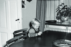 1962-0003-0000-0071-LS1