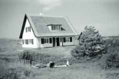 1962-0004-0000-0013-LS1