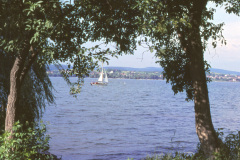 1963-0015-0000-0010-LF1