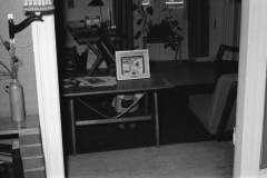 1963-0007-0000-0043-LS1