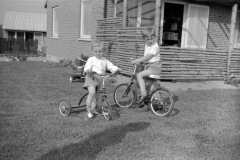 1963-0016-0000-0041-LS1