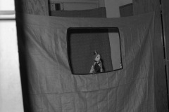 1963-0016-0000-0053-LS1