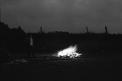 1963-0016-0000-0055-LS1