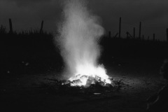 1963-0016-0000-0058-LS1