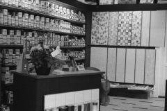 1963-0010-0000-0003-LS1
