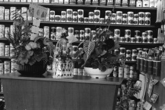 1963-0010-0000-0004-LS1