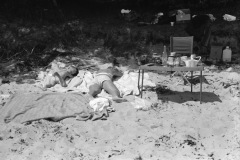 1963-0003-0000-0012-LS1