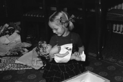 1963-0013-0000-0002-LS1