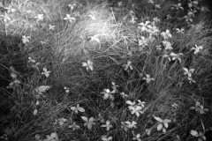 1963-0001-0000-0014-KS1