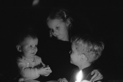 1964-0007-0000-0081-LS1