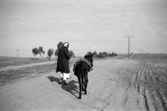 1964-0012-0000-0035-LS1