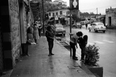 1964-0012-0000-0036-LS1