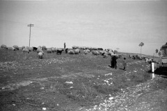1964-0012-0000-0040-LS1