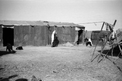 1964-0012-0000-0042-LS1