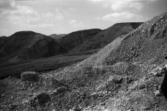 1964-0012-0000-0046-LS1