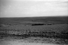 1964-0012-0000-0053-LS1