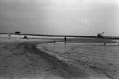 1964-0002-0000-0005-LS1
