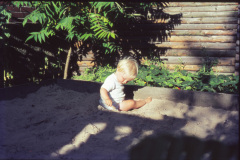 1965-0005-0000-0017-LF1