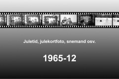 1965-0003-0000-0001-LS1