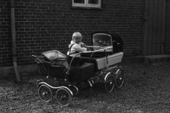 1965-0001-0000-0008-LS1