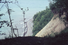 1965-0004-0000-0006-LF1