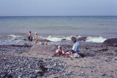 1965-0004-0000-0011-LF1