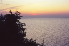 1965-0004-0000-0015-LF1