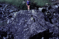 1967-0001-0000-0007-PF1