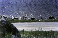 1967-0001-0000-0011-LF1