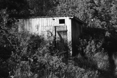 1967-0001-0000-0029-LS1