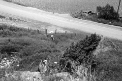 1967-0001-0000-0030-LS1