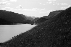 1967-0001-0000-0034-LS1