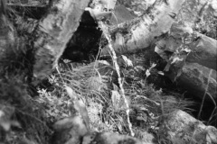 1967-0001-0000-0037-PS1