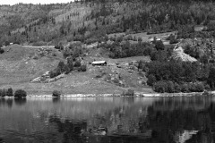 1967-0001-0000-0039-LS1