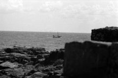 1968-0002-0000-0002-LS1