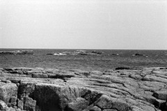 1968-0002-0000-0003-LS1