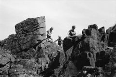 1968-0002-0000-0013-LS1