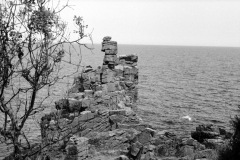1968-0002-0000-0014-LS1