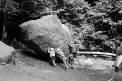 1968-0002-0000-0018-LS1