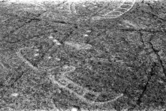 1968-0002-0000-0047-LS1