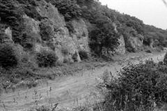 1968-0002-0000-0060-LS1