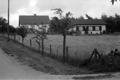 1968-0003-0000-0005-LS1