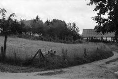 1968-0003-0000-0006-LS1